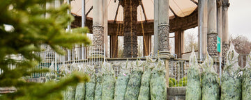 Christmas at Restoration Yard_Dalkeith Country Park