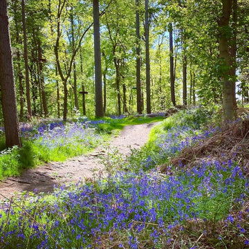 EXPLORE THE WIDER PARK
