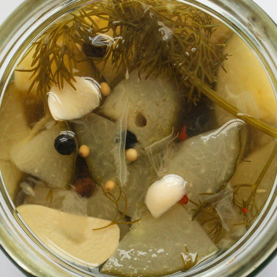 Jar of Goat Rodeo pickled with dill and garlic