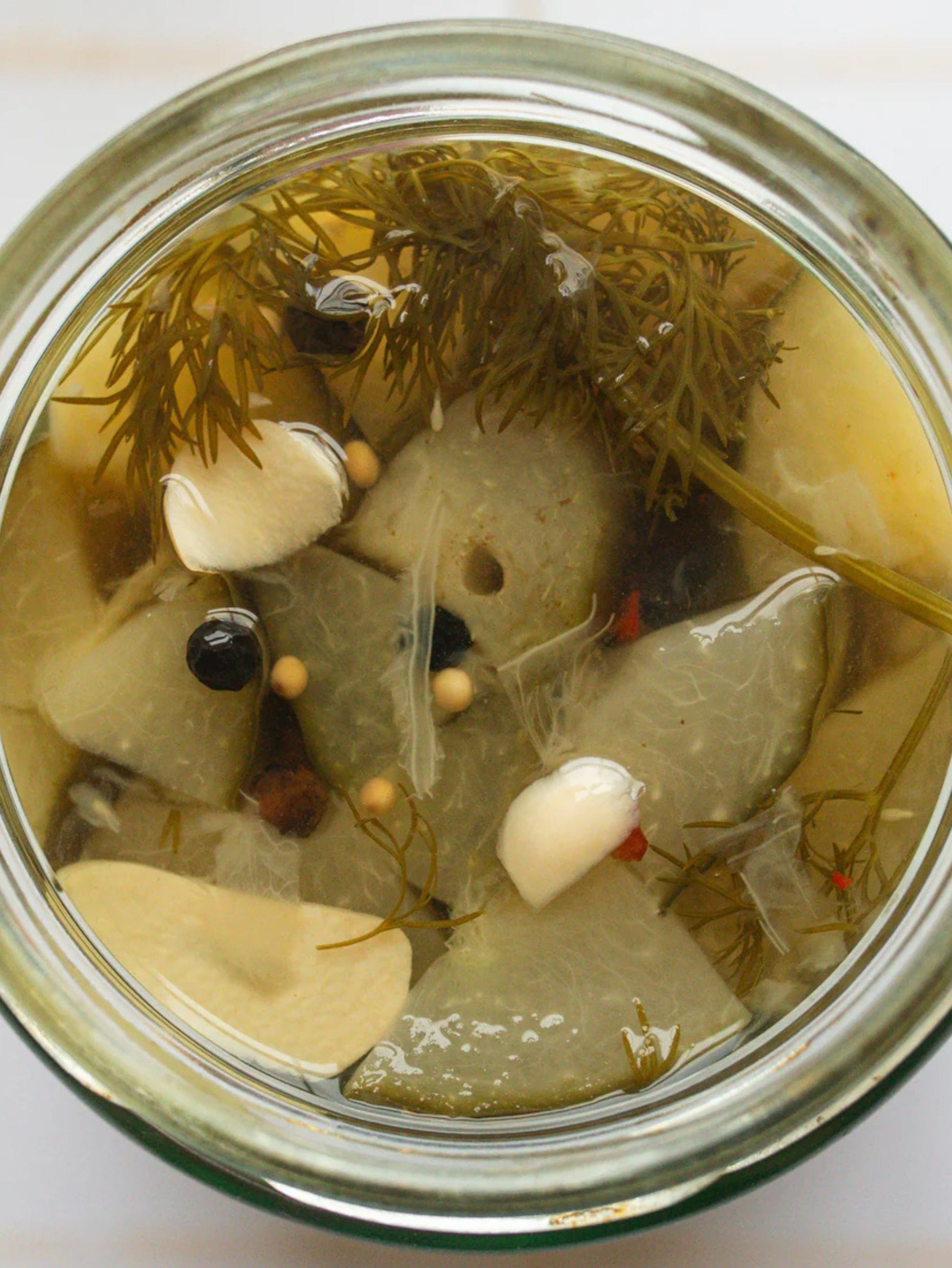 Jar of Goat Rodeo pickled with dill and garlic
