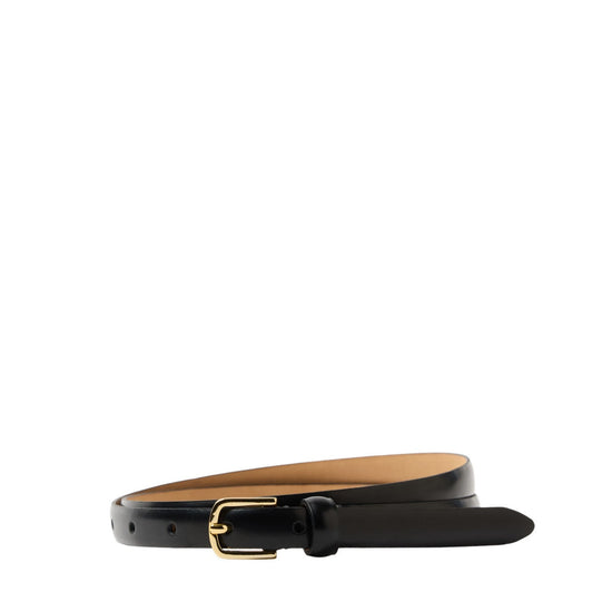 Black belt with a gold buckle on a white background
