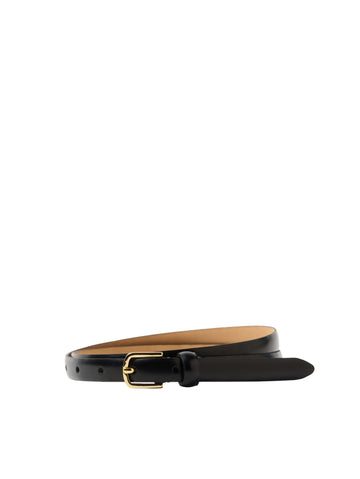 Black belt with a gold buckle on a white background