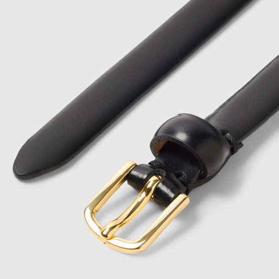 Black belt with a gold buckle on a light gray background