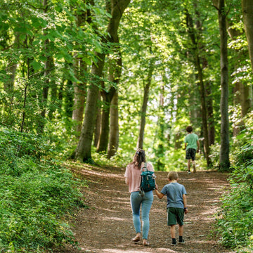 The Park Trails